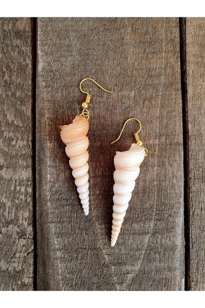 özde dekor أقراط مياه البحر (نموذج توريريتيلا كومونيس، صدفة حقيقية)