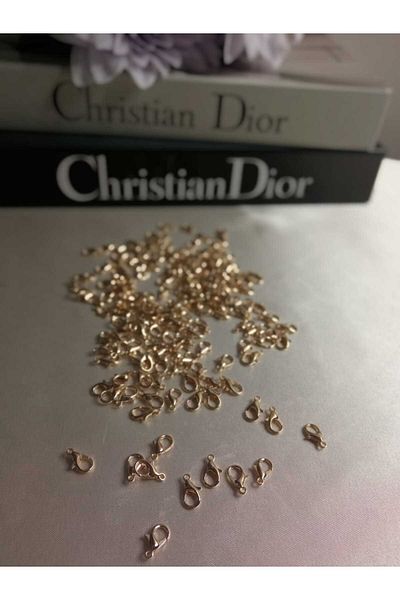 PASAMİA Parrot Clip, Lock Hook, Parrot Closing Clip, Necklace and Bracelet Lock Rose Gold Plated 40 Pieces