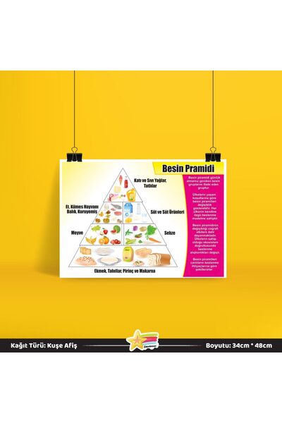 Etkinlikdenizi Besin Pramidi Fen Ders Afişi