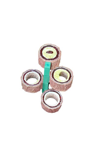 MAXİ Vein Model 45