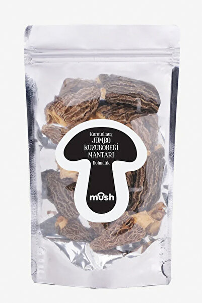Mush Kuzu Göbeği Mantarı Jumbo (dolmalık Kuzu Göbeği Mantarı ) 100 G