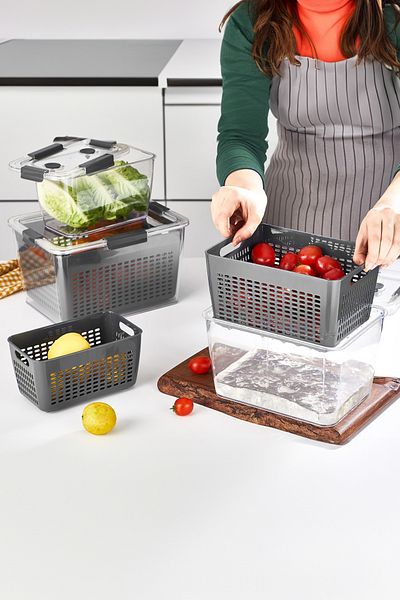 Selka Lavin Gray Mini Storage Container (2 Lt)