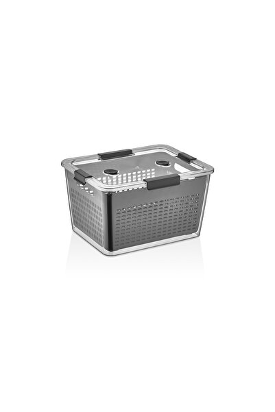 Selka Lavin Gray Mini Storage Container (2 Lt)