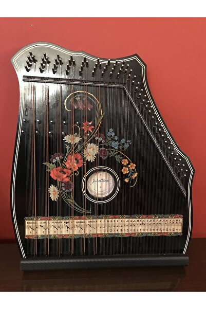 tayfuntufan antika koleksiyon 1970’s jubeltöne alman gitar zihteri 56 cm x 48 cm
