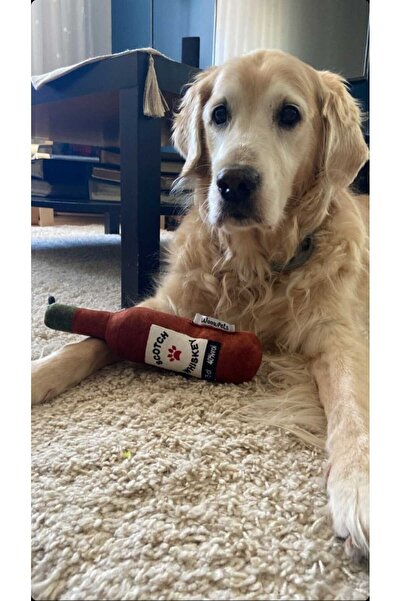 Genel Markalar Bottle Toy, Köpek Oyuncağı, Kedi Oyuncağı, Peluş Oyuncak (Yeşil)