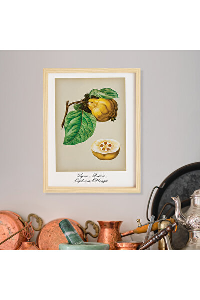 Ayışığı Dizayn Poster Vintage Bucătărie Fructe - Set de pictură cu un singur ...