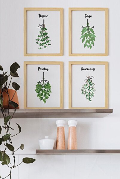 Ayışığı Dizayn Kuhinjski aromatični biljni biljci, set od 4 slike u prirodnom...