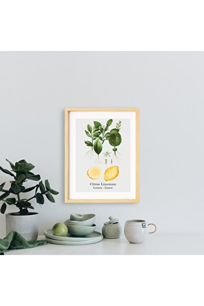 Ayışığı Dizayn Bucătărie-Vintage Lemon Natural Lemn Cadru Un Set De Pictură