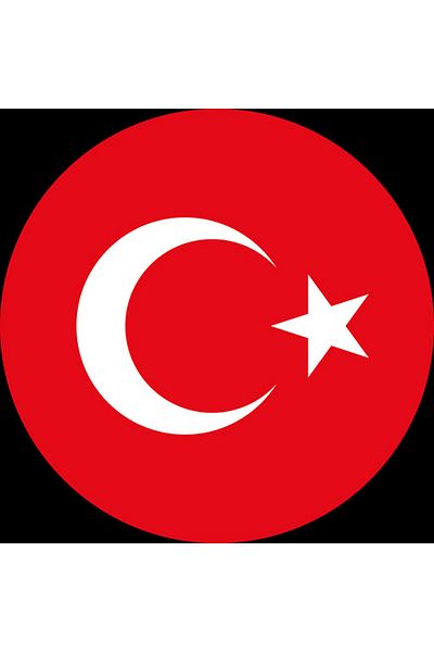 TELLGRAF ملصق العلم التركي المجيد (4x4 سم 24 قطعة)