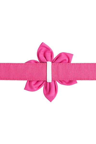 Lusi Doog Pembe Çiçekli Köpek Boyun Tasması, Köpek Gezdirme Kayışı Ve Köpek Kaka Poşeti Çantası Seti