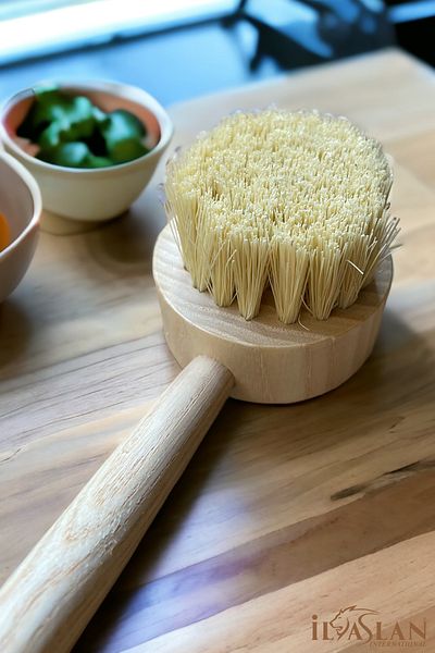 ilaslan international Natural Tampico Herb Handled Vegan Dish Brush (1 PC)