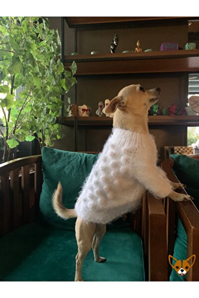 Mabel Pet Clothes Küçük Irk Köpek Kazağı Örme Peluş Yumuşak Kışlık – 1-4 Kg