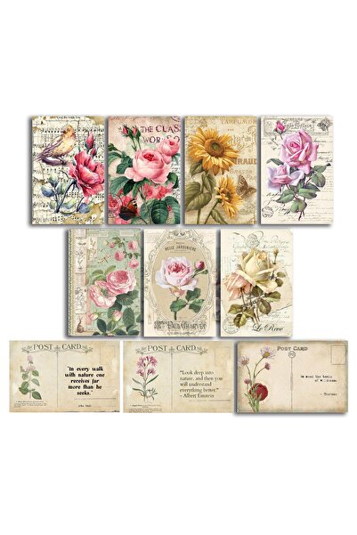 TELLGRAF مجموعة بطاقات بريدية بموضوع الورد (10×15 سم 10 قطع)