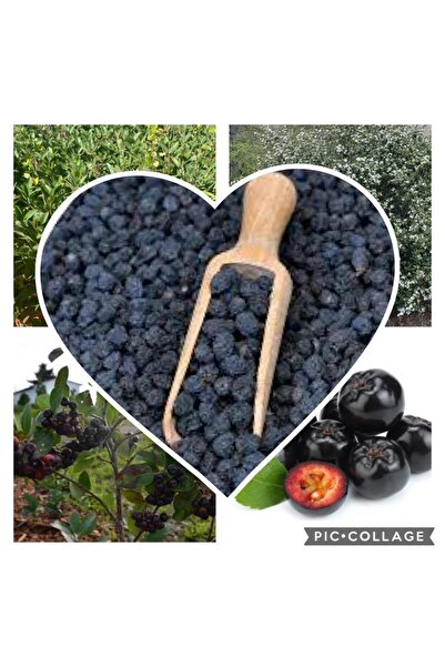 GojiberryTürkiye Aronya Kurutulmuş 250 gr