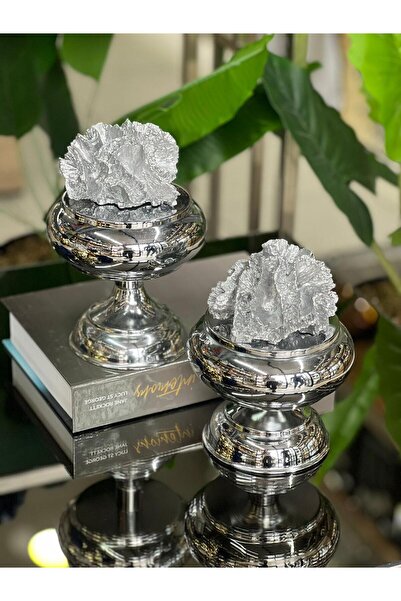 ArzzHome Dekoratif 2 Li Mercan Ayaklı Kutu Gümüş & Gümüş