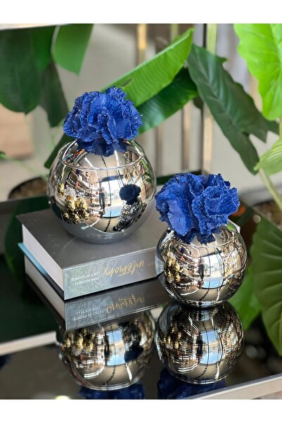 ArzzHome Dekoratif 2 Li Mercan Kutu Gümüş & Mavi