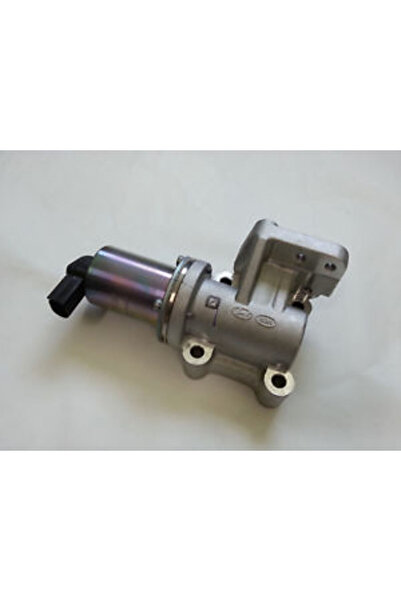 MOBIS Egr Valfi Starex Crdi 2005- / Sorento Crdi 2002- Uyumlu