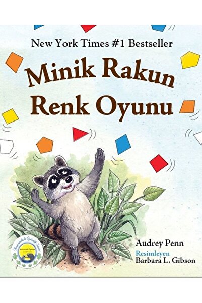 Butik Yayınları Minik Rakun Renk Oyunu