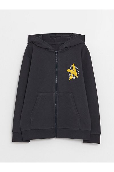 LC Waikiki Суичър с дълъг ръкав с качулка и цип за момче