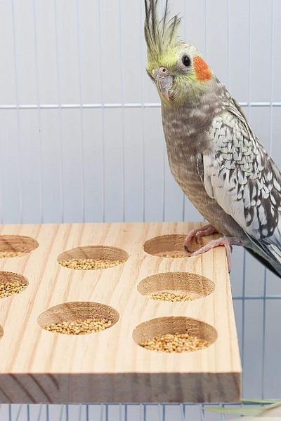 Alyones Natural Eye Feeder Wooden Bird Cage Stand: Perch, Toys and Accessories