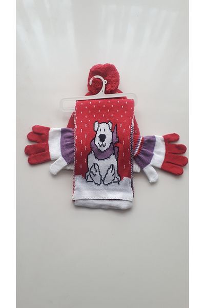 Demas Triko Demas Girl's Pink 3-Piece Teddy Bear Patterned Beanie Scarf Gloves Set