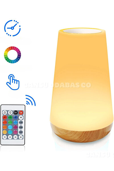 CANSU ODABAS CO Başucu Lambası, Dokunmatik Lamba, Taşınabilir Masa Sensörü Ko...