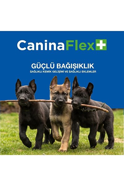 CANİNA FLEX Caninaflex Collagen Glukozamin 10 Adet.köpek Gelişim Seti.eksrta Kas Eklem Ve Kıkırdak Desteği.