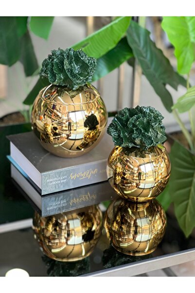 ArzzHome Dekoratif 2 Li Mercan Kutu Gold & Yeşil