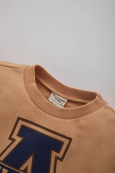 DeFacto Baby Boy Crew Neck Printed Sweatshirt B1033A523Wn