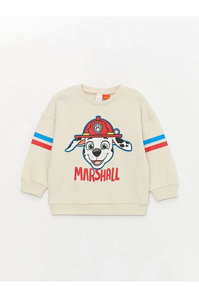 LC Waikiki LCW baby Crew Neck Paw Patrol Printed Baby Boy Set of 2
