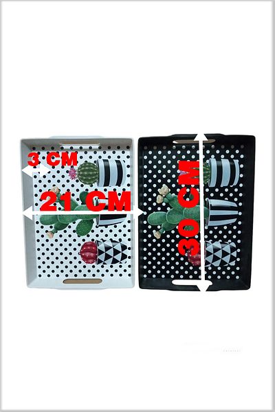 SEDEF LED SHOP New Model Cactus Patterned Tray Set of 2 Black and White