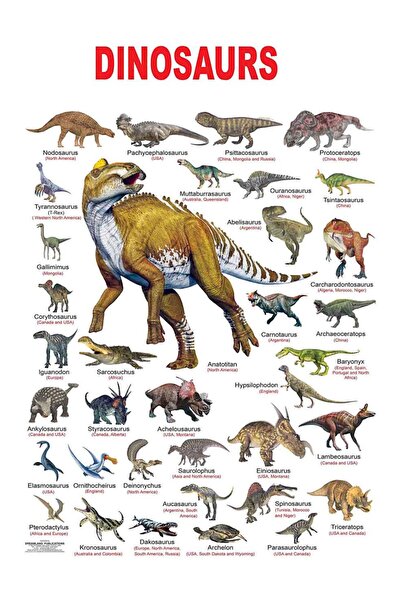 TELLGRAF Dinazorlar Temalı Poster (32x45 cm)