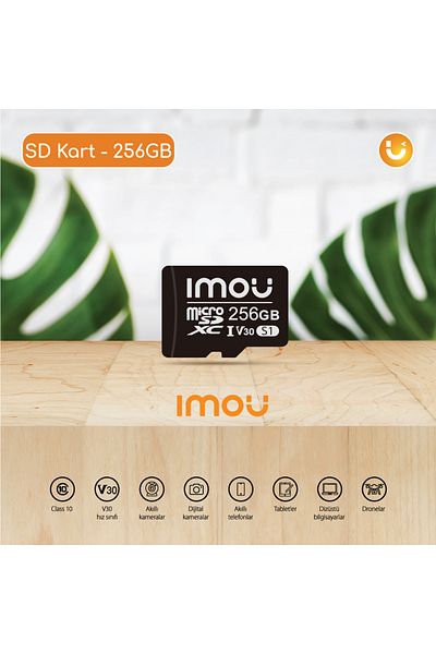Imou بطاقة ذاكرة Micro SDXC بسعة 256 جيجابايت / متوافقة مع معدات تسجيل الفيديو فئة 10، U3، V30 (ST2-256-S1)