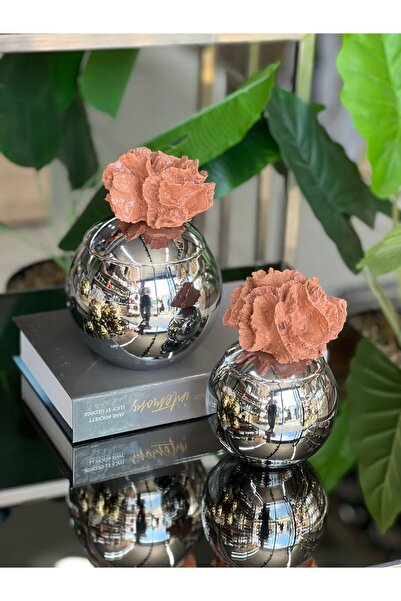 ArzzHome Dekoratif 2 Li Mercan Kutu Gümüş & Tarçın