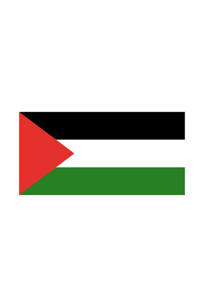 Pixxa Palestine Flag Mug