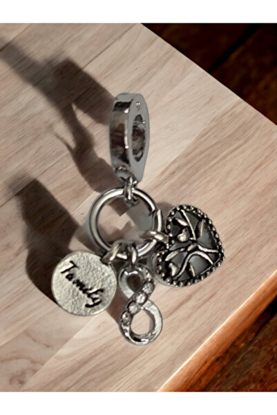 Stone Family Çelik Bileklik Uyumlu, Sonsuzluk Sembollü, Kalp ve Taşlı Charm