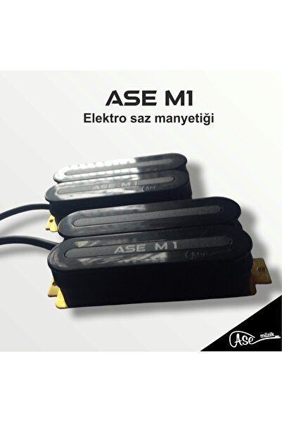 ASE MÜZİK Elektro Manyetik M1