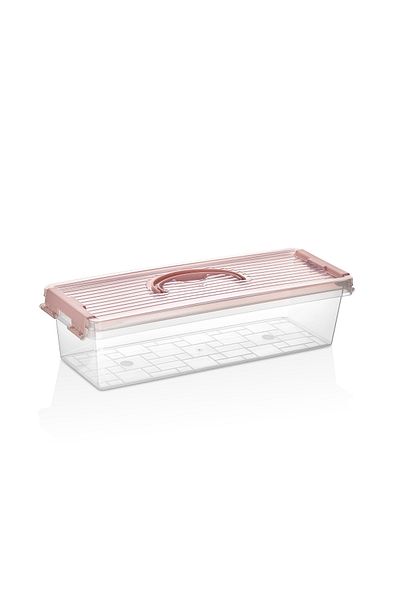 Minty Life Long 3.5 Lt Refrigerator & Cabinet Organizer with Lid, Carrying Handle