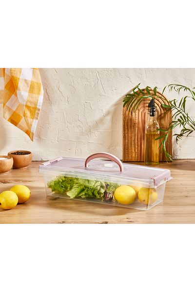 Minty Life Long 3.5 Lt Refrigerator & Cabinet Organizer with Lid, Carrying Handle