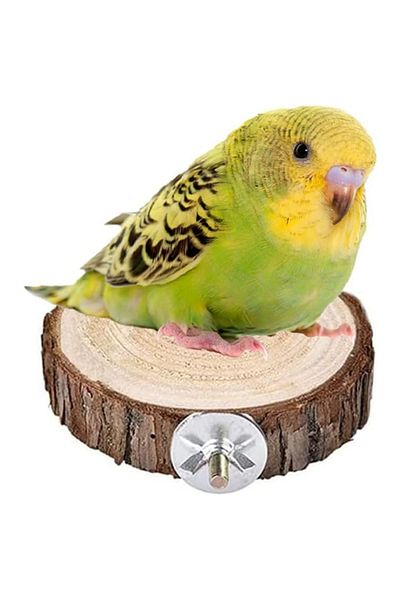 Alyones Pine Wood Bird Perching Stand - For Parrots, Cockatoos and Other Birds (AI7890)