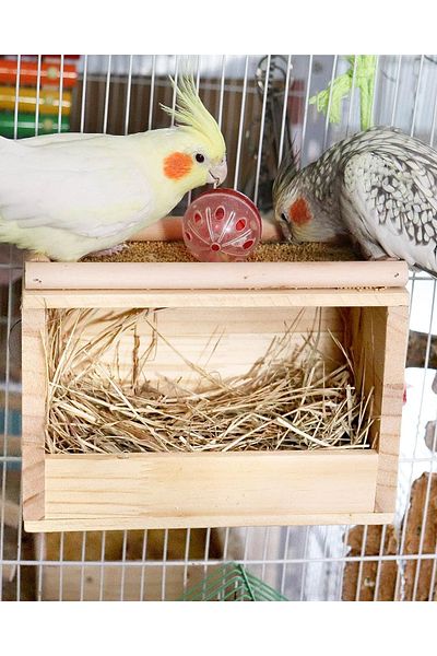 Alyones Natural Wooden Bird Nest Box - Parrot Roost Stand and Bird Cage Accessory