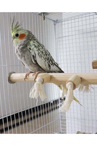 Alyones Natural Wood String Perch Stand - Parrot Perch Toys, Bird Cage Pole Accessories