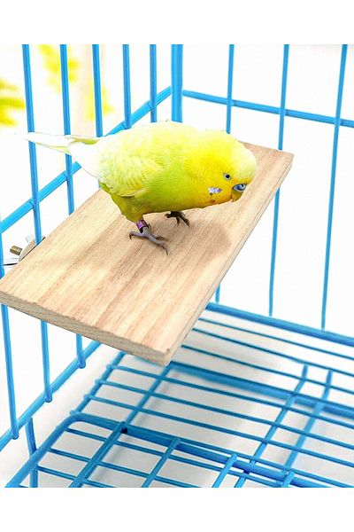 Alyones 4 PCS Bird Perch Stand Platform Toy - Natural Wood Bird Cage Accessories 2 Flat, 2 Rectangular