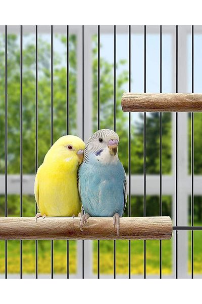 Alyones Perch Bird Stand Toy - Natural Wooden Platform Grinding Nail Cage Accessories