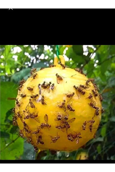 ÇAĞ TARIM SARI TOP SİNEK YAPISKANI 1 ADET UÇAN HAŞERELER SON