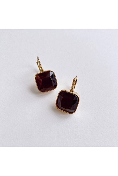 Boise Atelier Brown Steel Earring