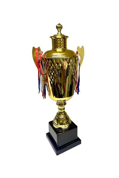 AVESSA 80 cm Brown Floor Cover Gold Plated Trophy Metal Award Trophy Suitable for All Sports Branches