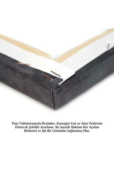 Şehzat Design Dekoratif Kanvas Tablo