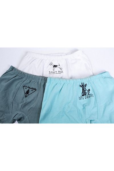 Coco & Bamboo Men's Boxer Set of 3
