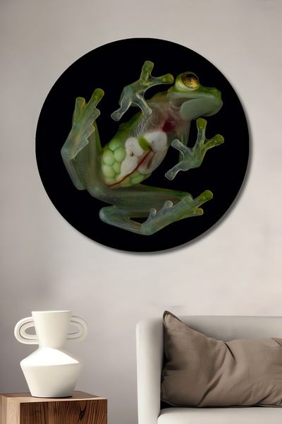 Teona Ahşap Dekoratif Kurbağa Duvar Tablo Ahşap Yuvarlak Tablo